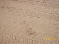 tracks 23c.jpg