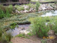 Horseshoe creek.jpg