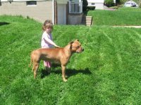 reese and livey 022.JPG