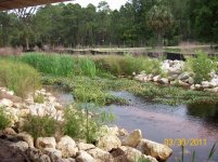 Horseshoe Creek 2.jpg