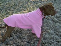 Bella's Sweater 004_800.jpg