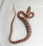 P1270860.JPG P1270860.JPG