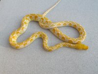 camera mem card one 054.JPG