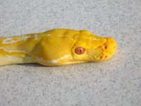 camera mem card one 055.JPG