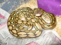 camera mem card one 057.JPG