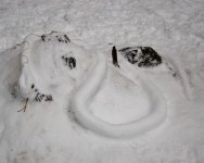 Snow Snake.jpg