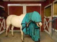 Medicine Hat Paint 002.jpg