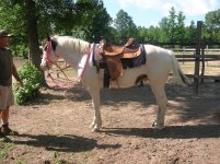 Medicine Hat Paint 003.JPG