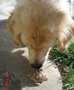 outdoor terps 013.JPG