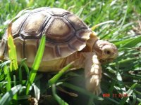 outdoor terps 012.JPG