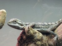 20120429_084819.jpg