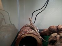20120429_091735.jpg
