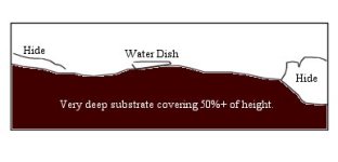 spider setup.jpg