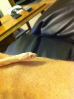 IMG_0817.JPG