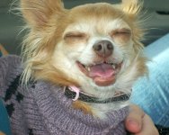 Smile.jpg