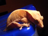 IMG_1672.JPG