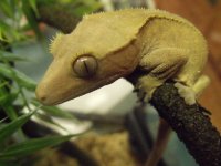 2010_09060016.JPG