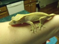2010_09060030.JPG