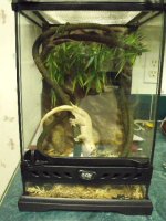 2010_09060033.JPG