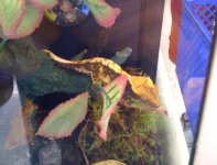 iphone pics 161.JPG