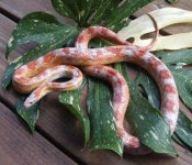 KateSept2012 005cs.jpg