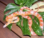 KateSept2012 006csfl.jpg