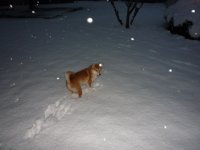 key in snow.JPG