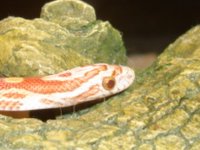 DSC03306.JPG