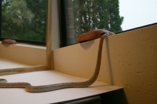 IMG_0700scale.JPG