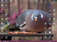 desktop.JPG