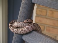 Copy of P7069988.JPG Copy of P7069988.JPG