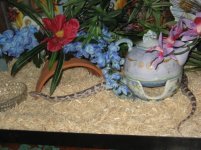 small2.JPG small2.JPG