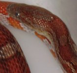 DSC05394.JPG