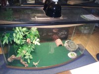 20120509_162239.jpg