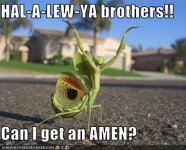 amen.jpg
