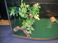 20120509_162248.jpg