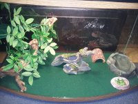 20120509_163243.jpg
