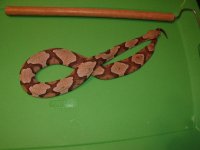 2010_09090016.JPG