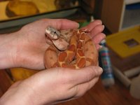 IMG_2316 klein.jpg