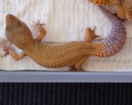 Patternless_edited-1.jpg