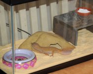NewTank.jpg