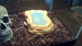 water dish.jpg