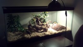 New cage setup.jpg