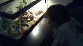 Matias looking at snakes.jpg