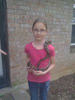 IMG_20120414_174611.jpg
