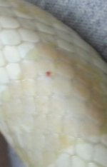 20130409_174407-1-1.jpg