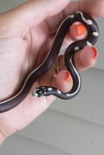 20130724_161449 (540x800).jpg