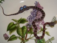 PB2010_01J 002cr.jpg