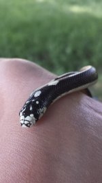 20130724_161548 (450x800).jpg