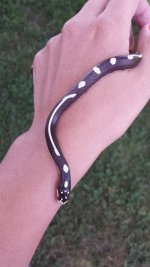 20130724_161953 (450x800).jpg